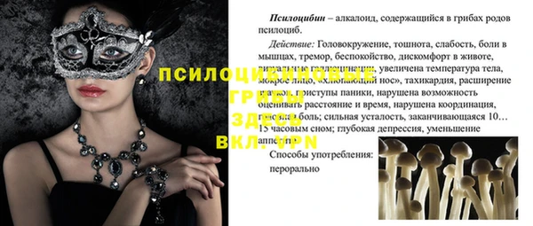 крисы Аркадак